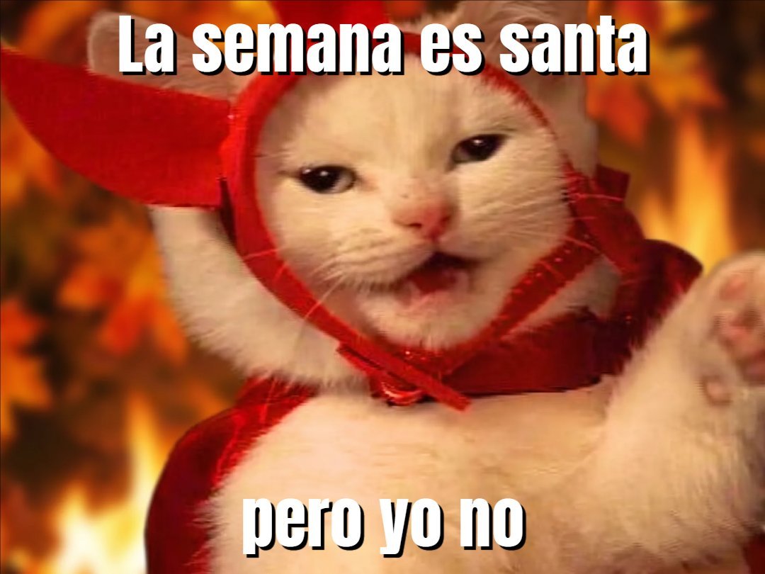 Meme gato con capucha roja - Semana Santa