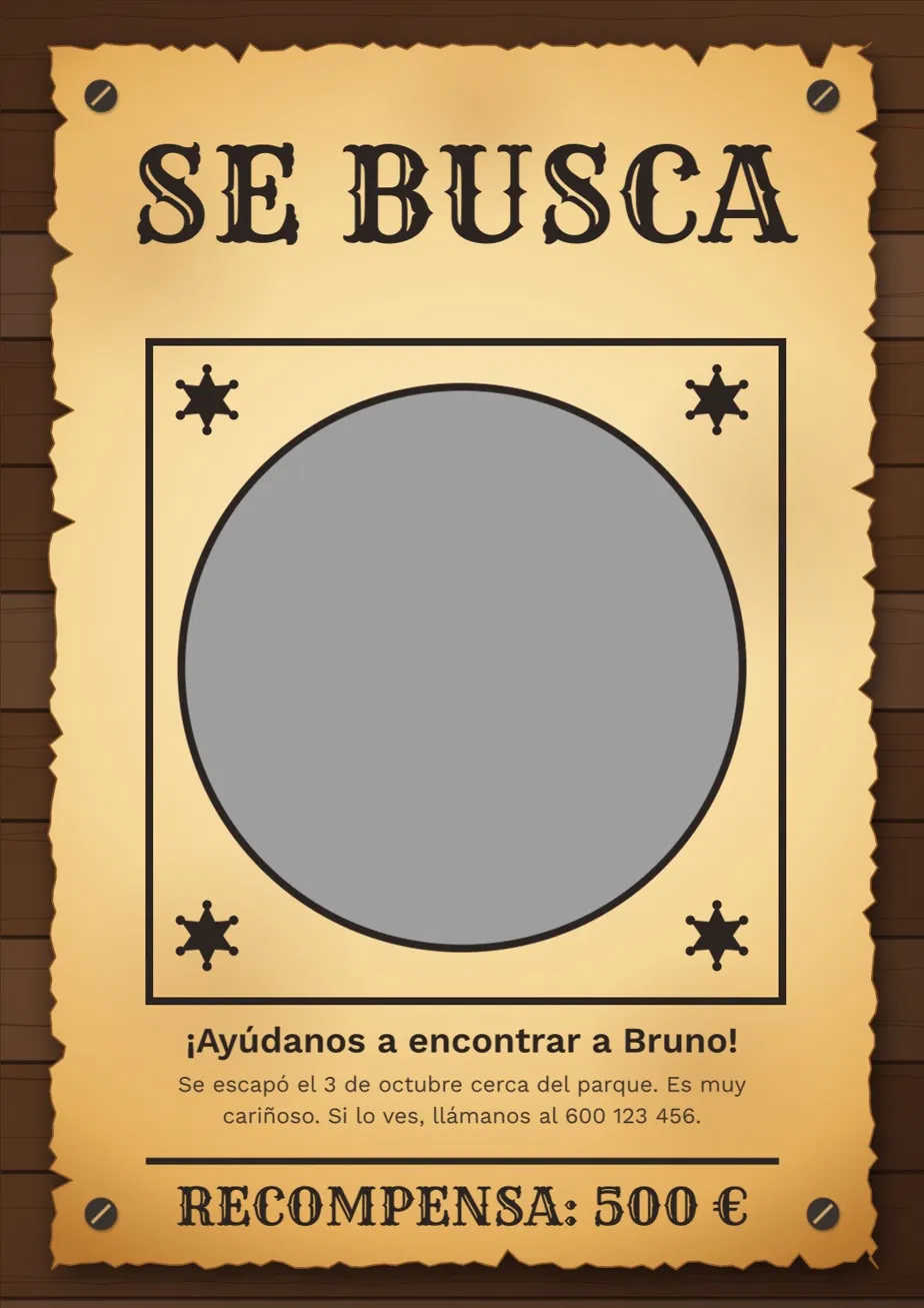 Cartel Se Busca perro perdido estilo western